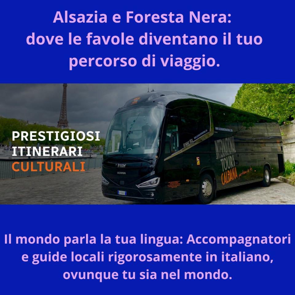 Alsazia e Foresta Nera : destinazioni fatte per viaggiare in Bus